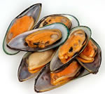 Muscheln in halber Schale